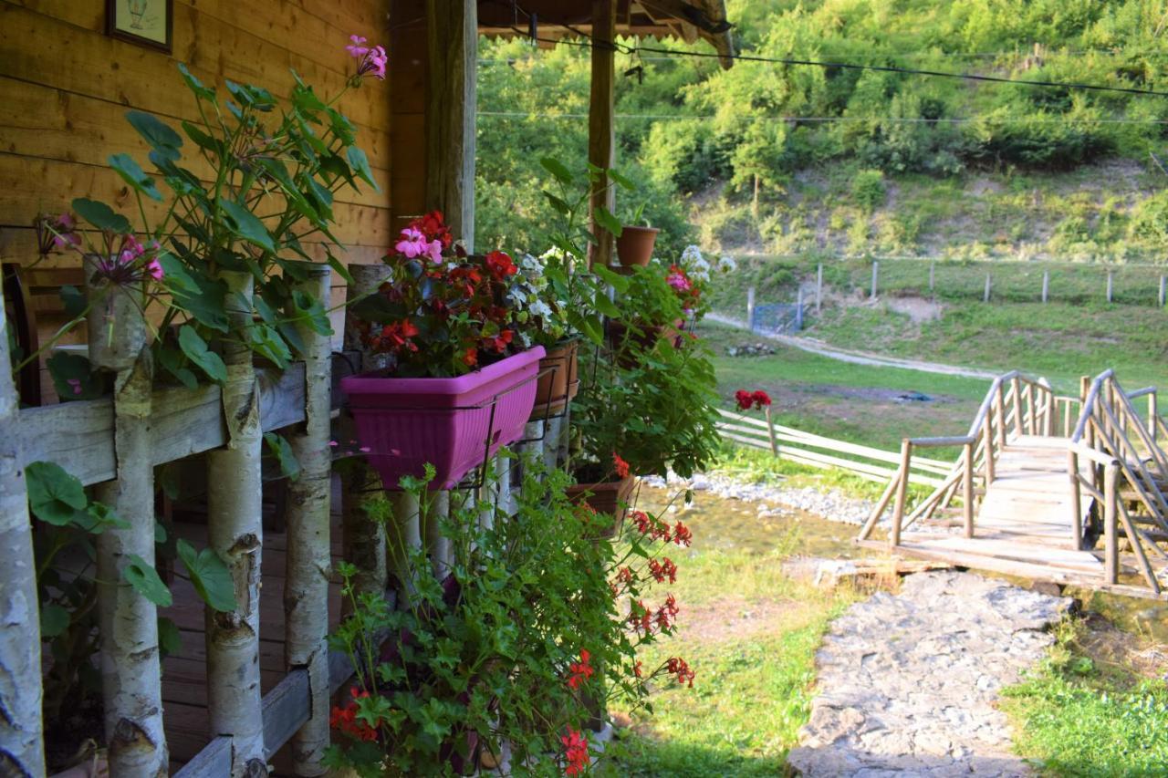 Farmstay Oka i Po Berane Exteriör bild